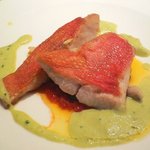 ピッコロ・バンビーノ - 金目鯛のグリーンアスパラソース