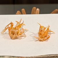 天白 - 