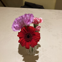 Il Cucchiaio di Angelo - テーブルの上の花がかわいい
