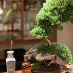 DINING MASHIRA - 