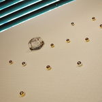 ジョンティ アッシュ - 