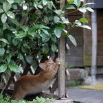 山水客 - 山水客