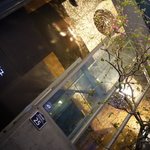 자연활어 수정궁 - スジョングン
            
            （수정궁횟집）