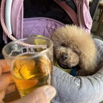 そば処 湧水 - ビールで乾杯♪