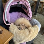 そば処 湧水 - 気持ち良さげ