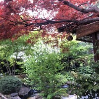 炭焼うな富士 白壁別邸 -  炭焼うな富士 白壁別邸 -