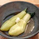 木陰 - 翡翠茄子 素晴らしく鮮やかな色合い