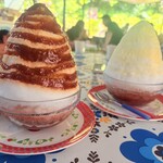 パーラー ぱいぬ島 - 
