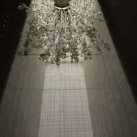 アルヴァ(アマン東京) - 