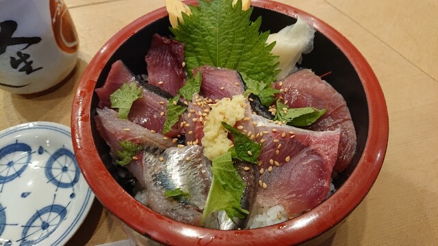 Janome Zushi