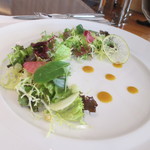 PATINASTELLA - シトラスサラダ　レモンリコッタチーズを添えて