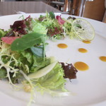 PATINASTELLA - シトラスサラダ　レモンリコッタチーズを添えて