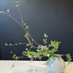 虎屋菓寮 - ライラック