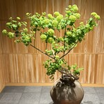 虎屋菓寮 - 駐車場入り口に飾られた、クリスマスボールというお花だそうです