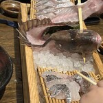 ざうお - 