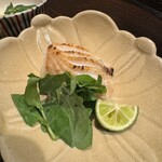 料理屋もり尋 - 