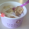Cold Stone Yogurt Bar GPO