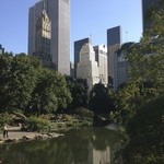 New York’s Best Halal Food - 弁当をセントラルパークに持ち込んでランチタイム。