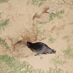 民宿 栄丸 - 巣穴に帰ります