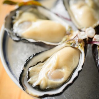 鮮度が自慢の牡蠣をお届け！