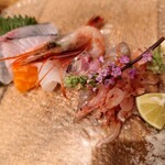 ツーピース - 刺し盛り