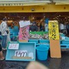 ヤマサ水産 総本店