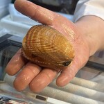 たちばな寿司 - 長笊貝。珍しい\(//∇//)\