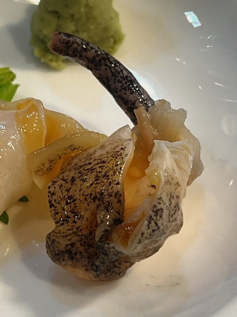 Tachibana Zushi photo 5