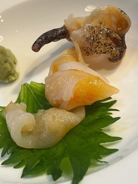 Tachibana Zushi photo 3