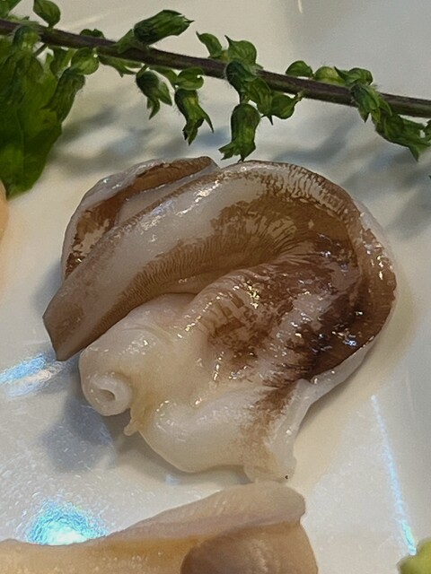 Tachibana Zushi photo 2