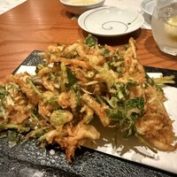 馳走菴 ひじり -  馳走菴 ひじり -