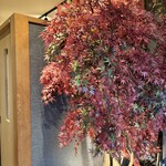 しゃぶしゃぶ 吟半 - 