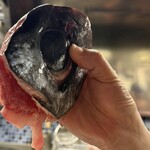 寿司居酒屋 伝次郎 - 生マグロの目玉