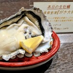 オステリアオオサキ - 