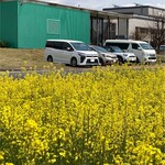 ラ・ジータ - 外壁はガラスと緑の壁、駐車場あります。