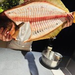 鮨shizuku 西天満 - ヒラメ