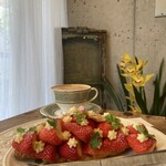 HELLO NEW DAY COFFEE - 