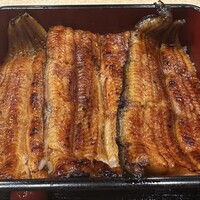 うなぎ割烹 白金台 まつ本 - 