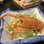 庵JUJU - 
