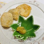 きぬ川 不動瀧 - 