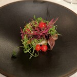 マダム・トキ - 