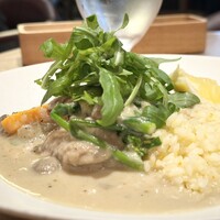 Jose Luis - 銘柄鶏とポルチーニ茸のフリカッセ バターライス添え
