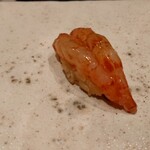 鮨 龍次郎 - 縞海老