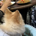 むめさん - 貴重な店内での食事