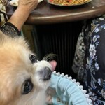 むめさん - ワンコを座席に座らせる時は何かカバーなどを持参しましょう