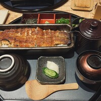 うなぎ四代目菊川 ミッドランドスクエア 名古屋本店 - 