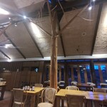 カーブドッチ - 