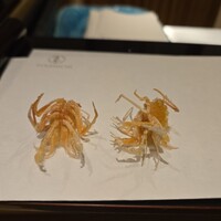 天七 - 