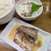 魚力