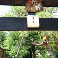 雀の庵 郡上 - 